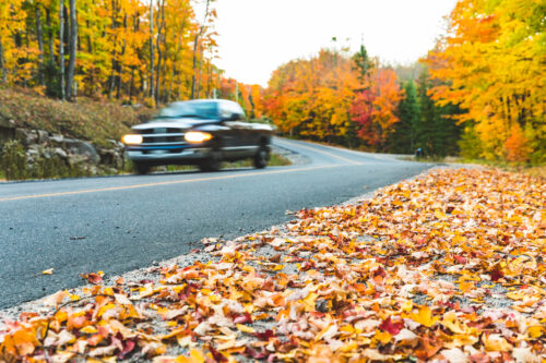 autumn leaves road